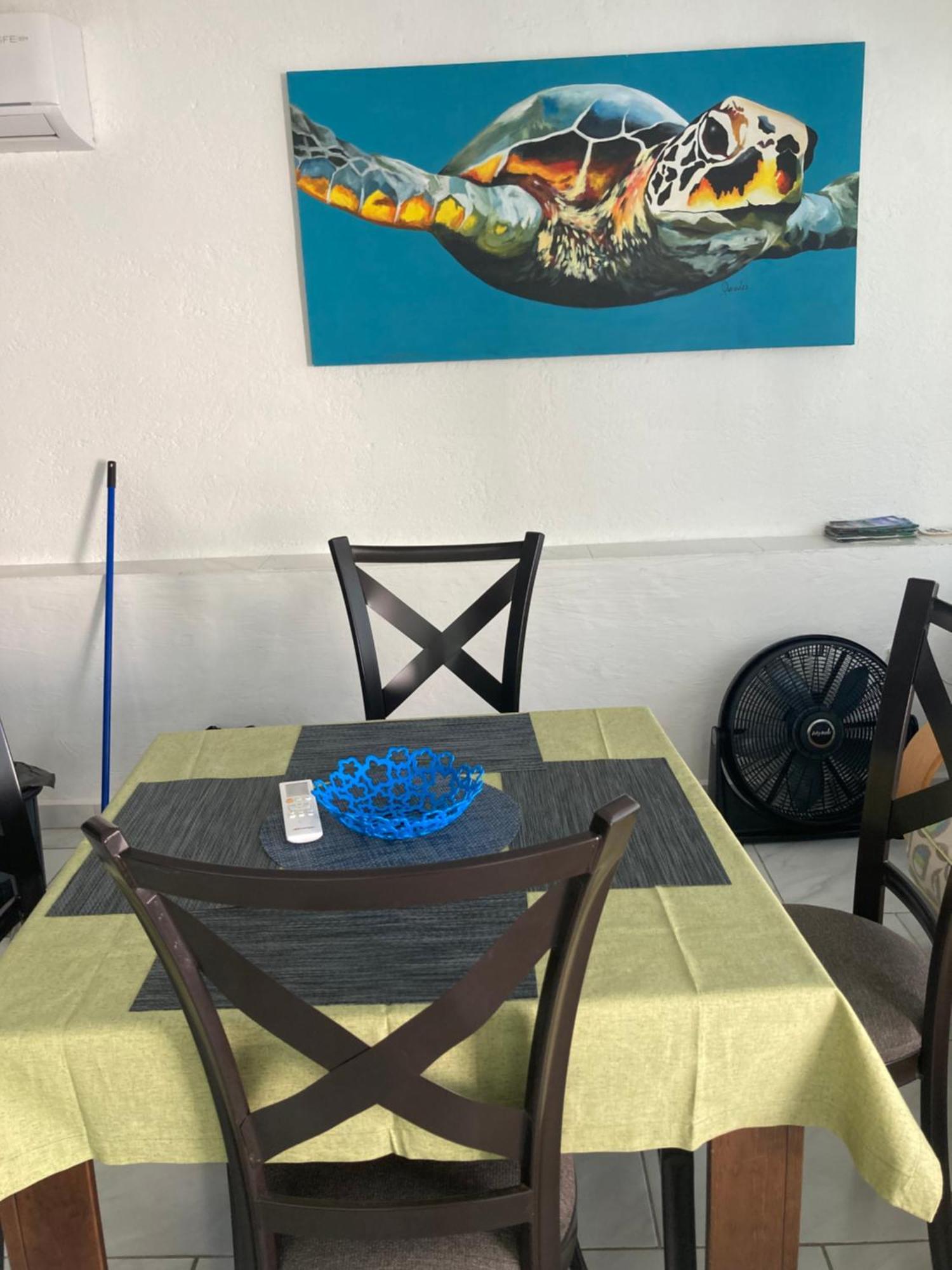 Oceanfront, Entire Appartement *